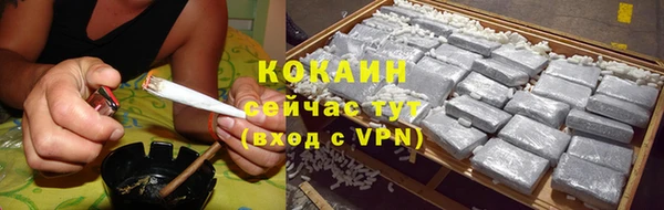 твердый Абаза