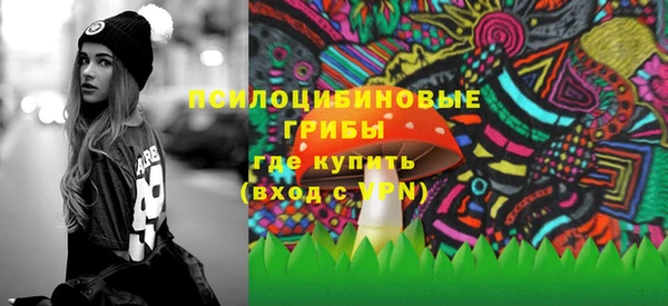стафф Снежинск