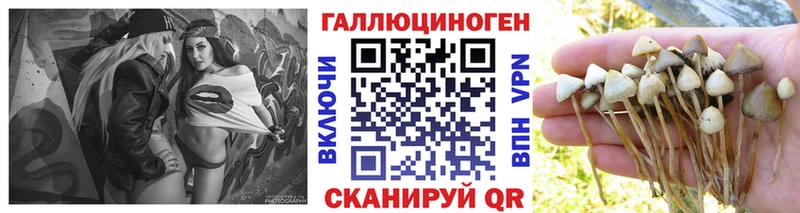 Псилоцибиновые грибы Cubensis  Агидель 